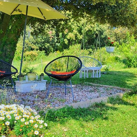 Agriturismo Podere Le Palaie Monterotondo  Extérieur photo
