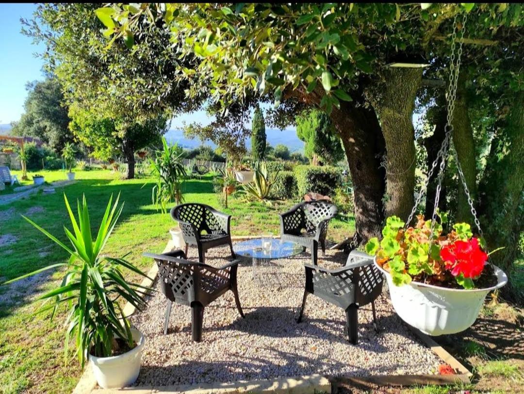 Agriturismo Podere Le Palaie Monterotondo  Extérieur photo