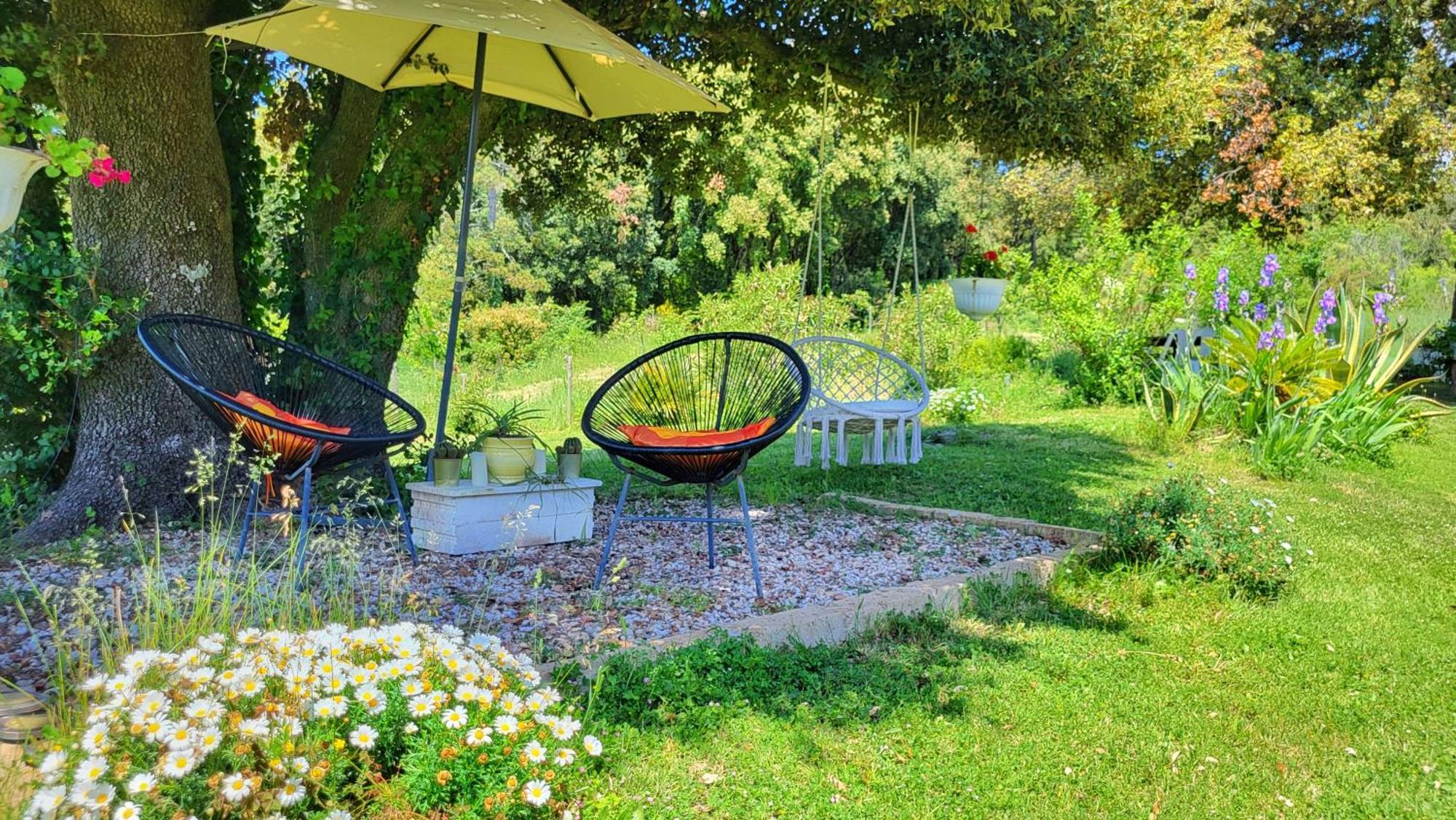 Agriturismo Podere Le Palaie Monterotondo  Extérieur photo